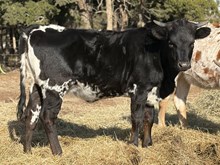 JM Little Less Dramatic